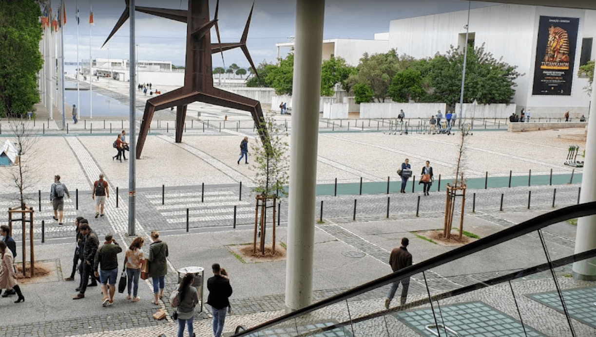 Why Discipline Outranks Motivation